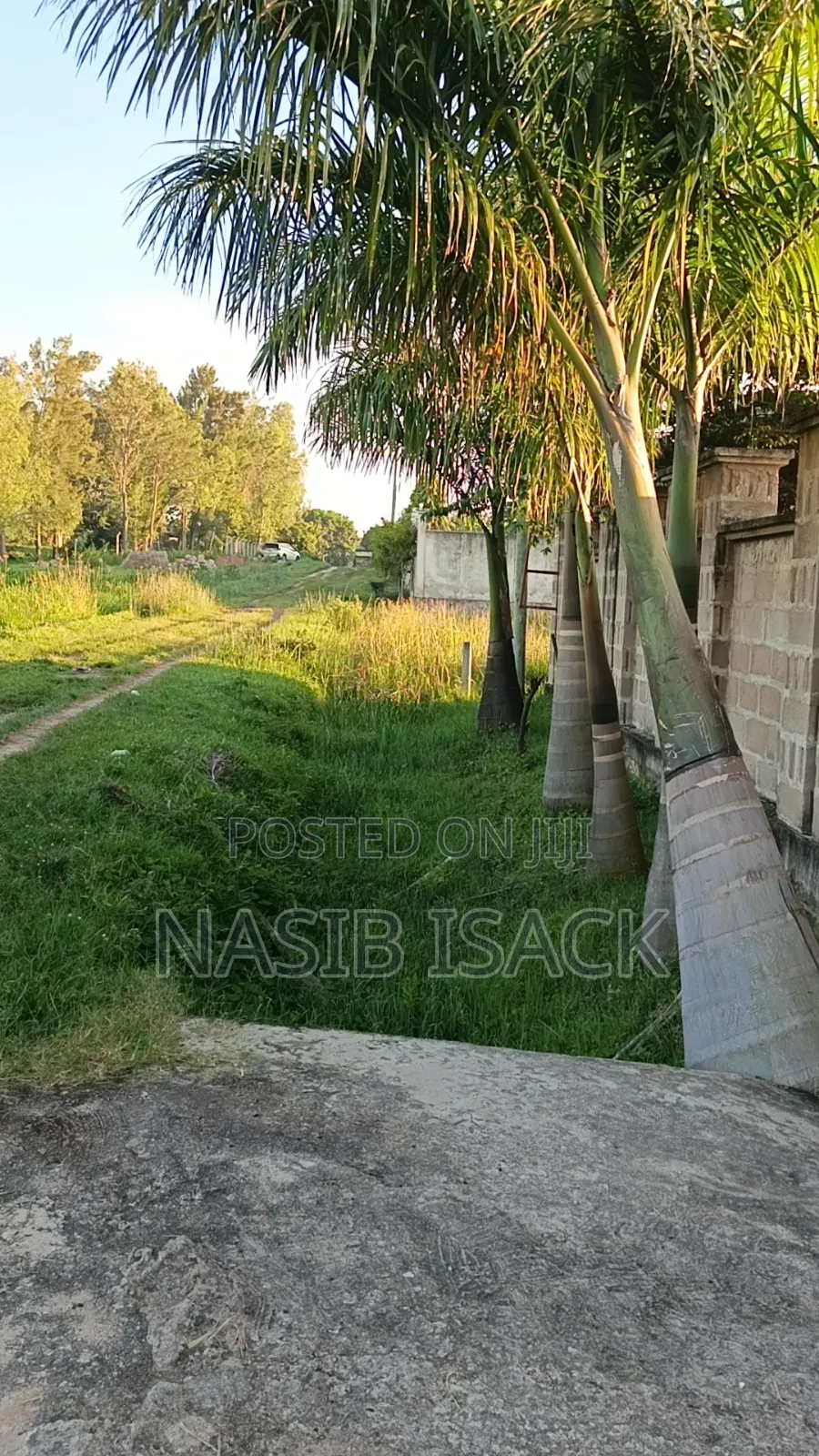 Plot for Sale