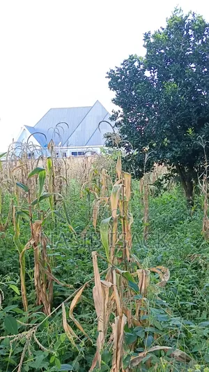 Plot for Sale