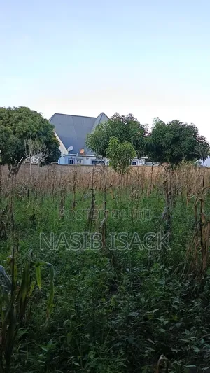 Plot for Sale