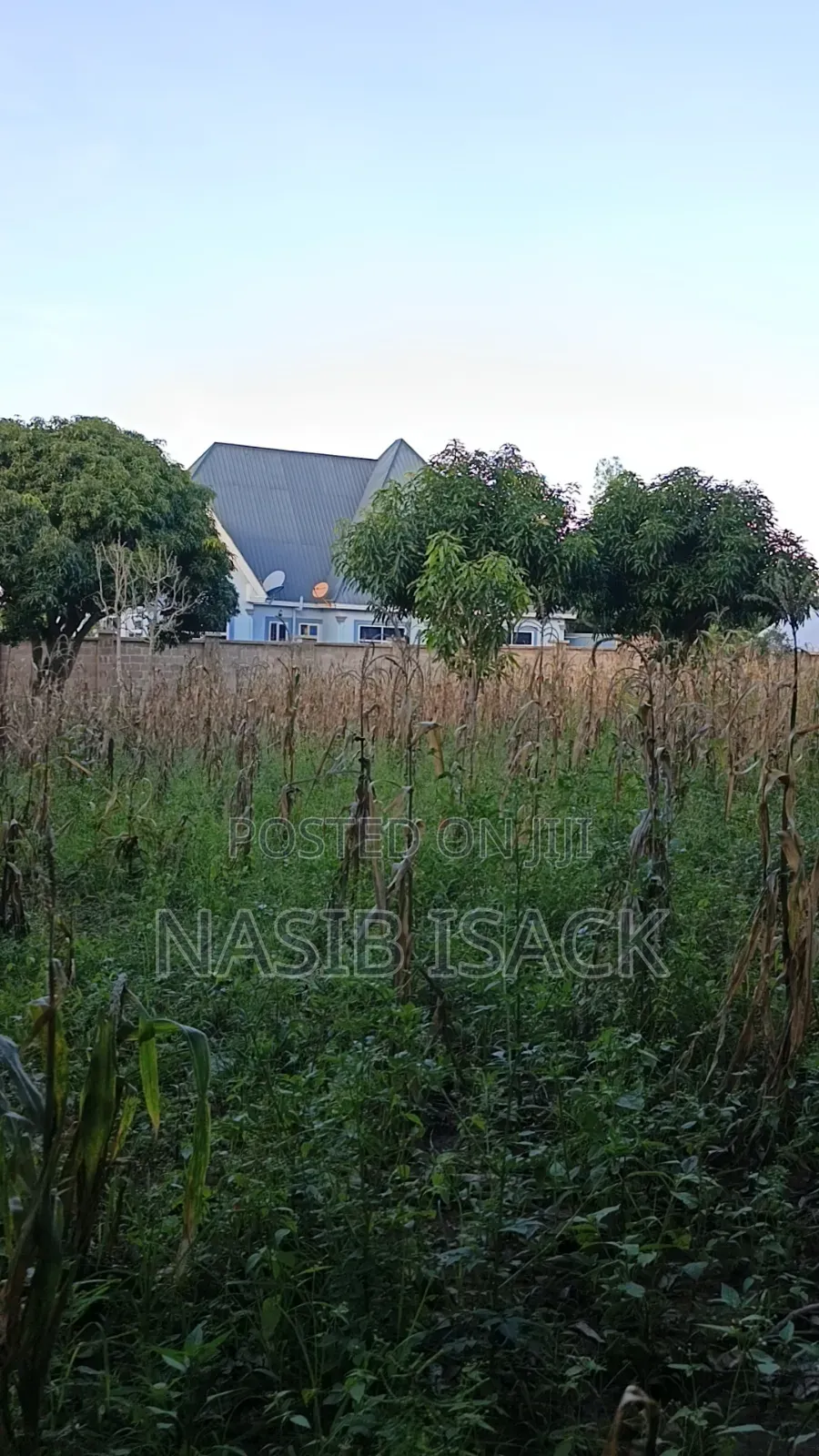 Plot for Sale