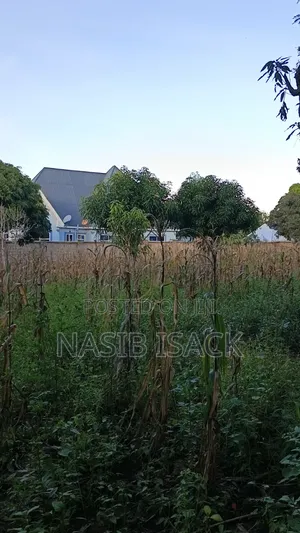 Plot for Sale