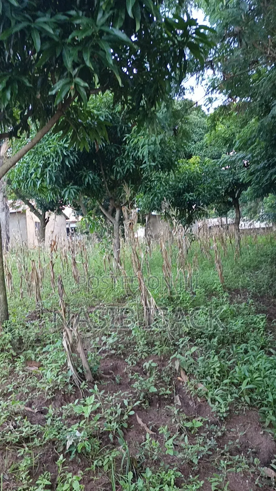 Plot for Sale