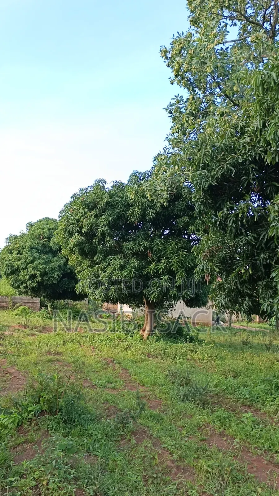 Plot for Sale