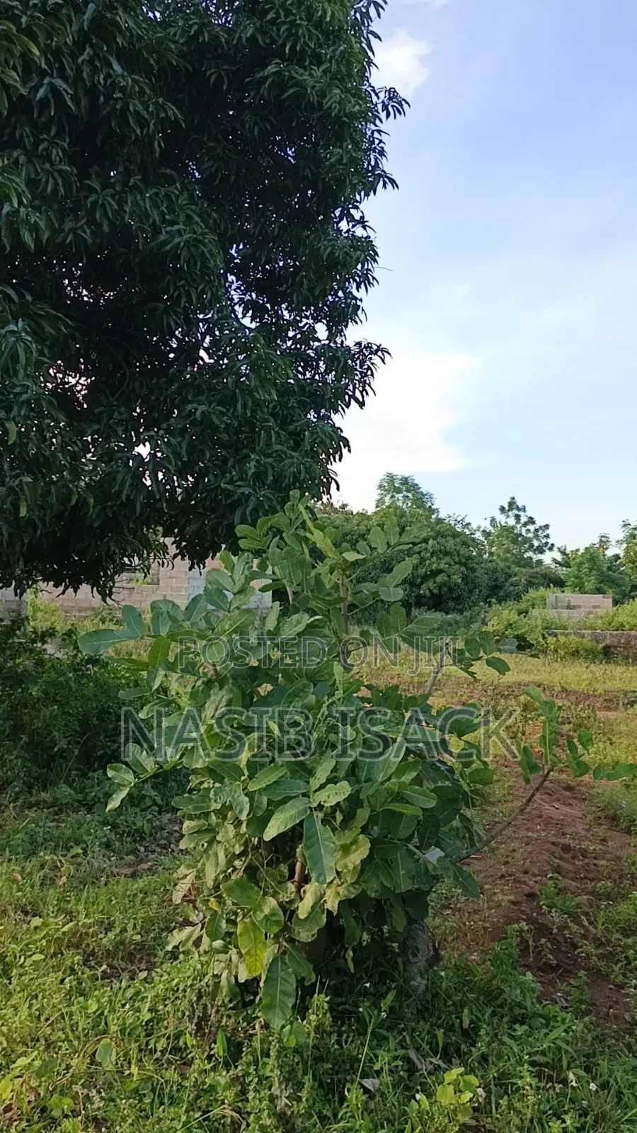 Plot for Sale