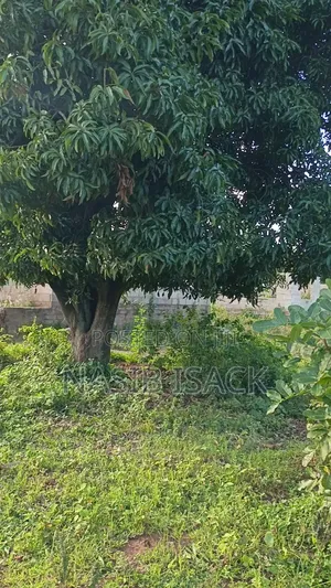 Plot for Sale