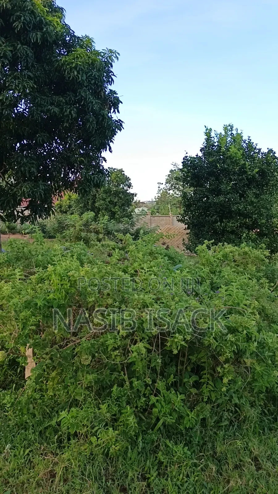 Plot for Sale