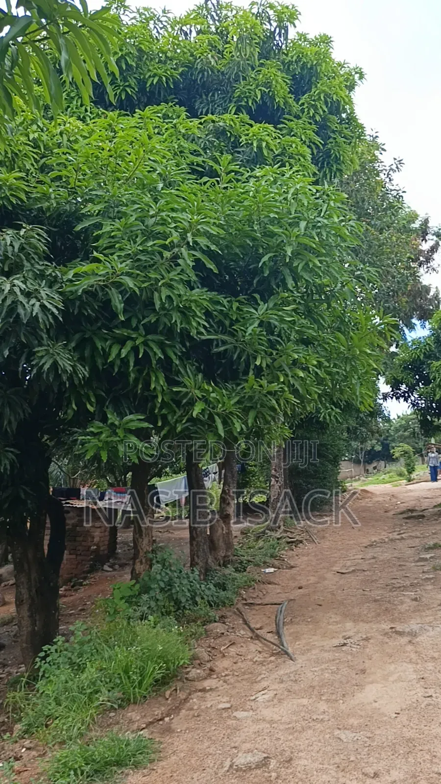 Plot for Sale Mwanza Kiseke