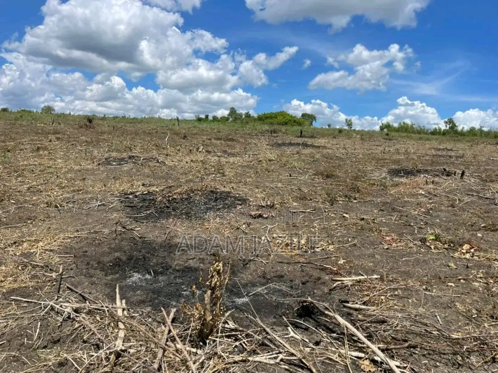 Shamba La Ekari 40 Linauzwa Kiwangwa Bagamoyo