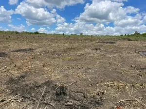 Shamba La Ekari 40 Linauzwa Kiwangwa Bagamoyo
