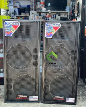 Best Quality Soundsoft Mid Double 15inch Profesional Pa Speaker System