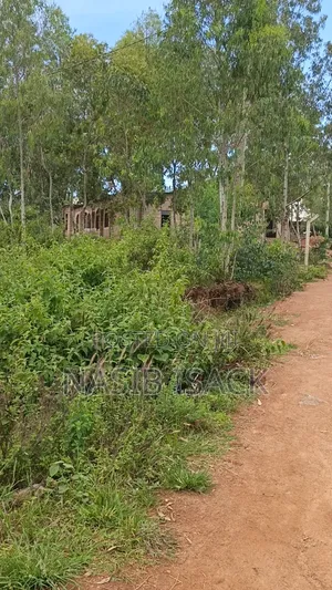 Plot for Sale