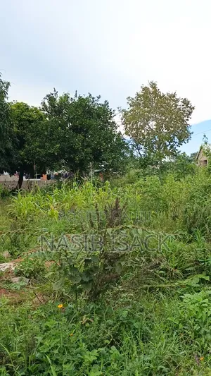 Plot for Sale