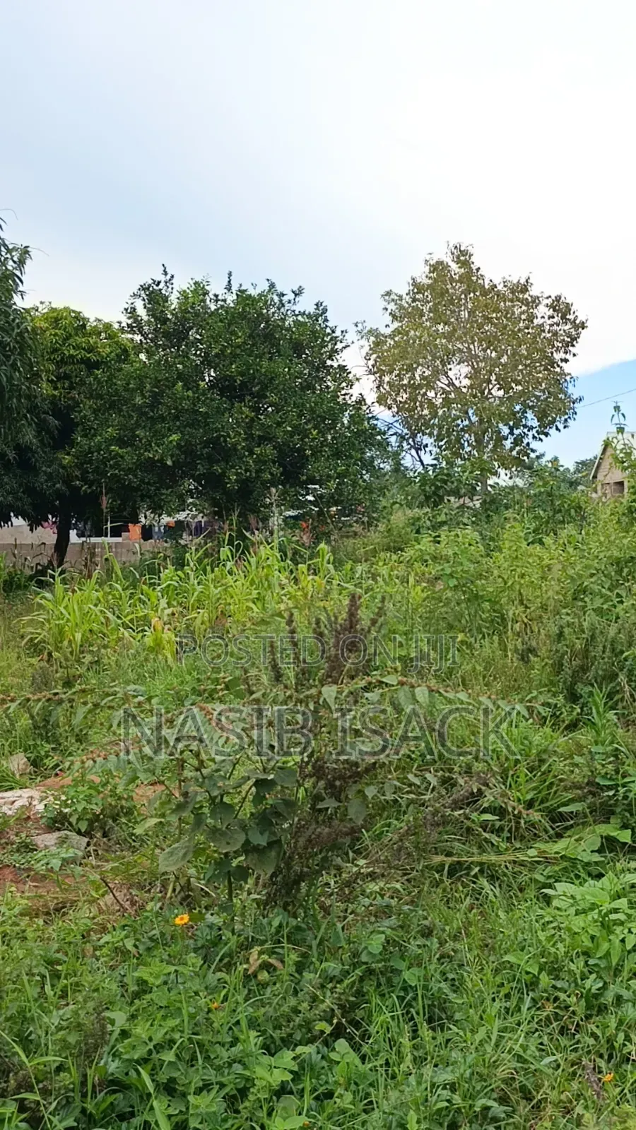 Plot for Sale