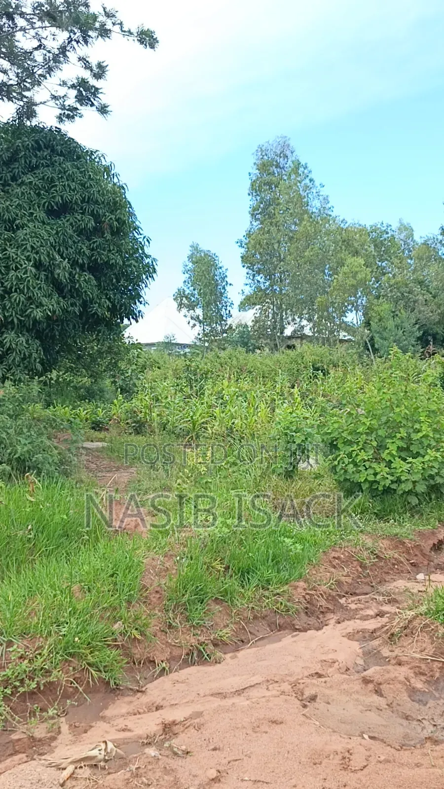Plot for Sale