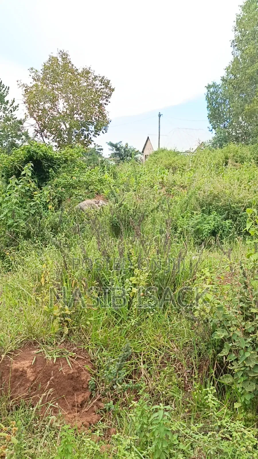 Plot for Sale