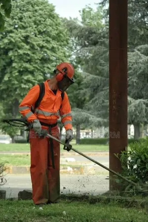 2026 Grass Cutter Petrol Fuel