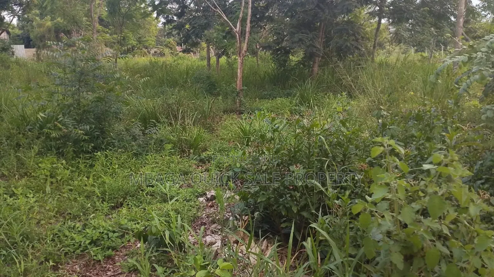 Plot for Sale at Madale Mbopo Shule