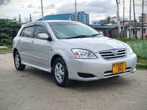 Toyota Allex 2005 Silver