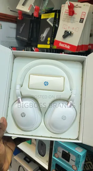 Hp Headphones H231r
