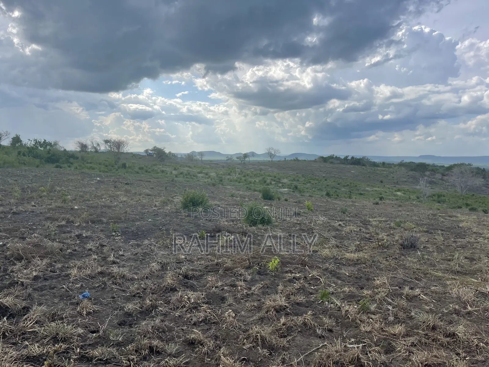 Shamba Linauzwa Kiwangwa Hekari 50