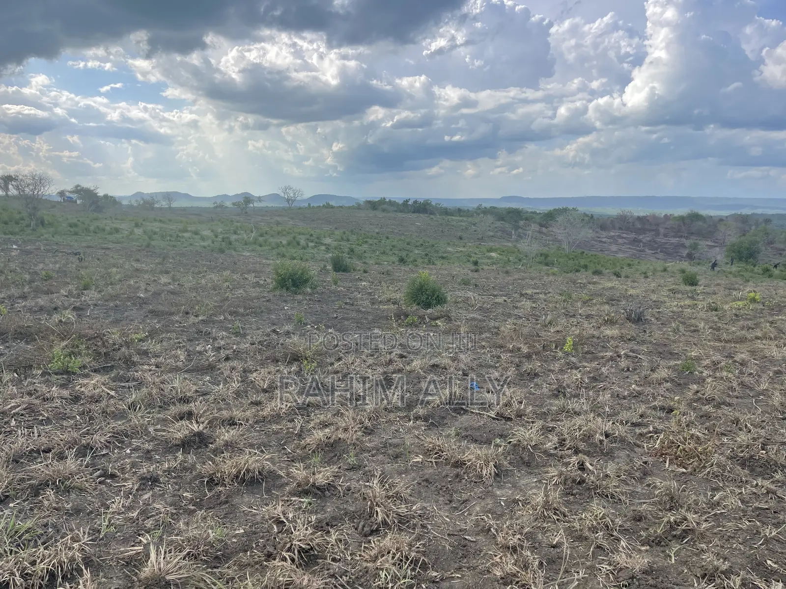 Shamba Linauzwa Kiwangwa Hekari 50
