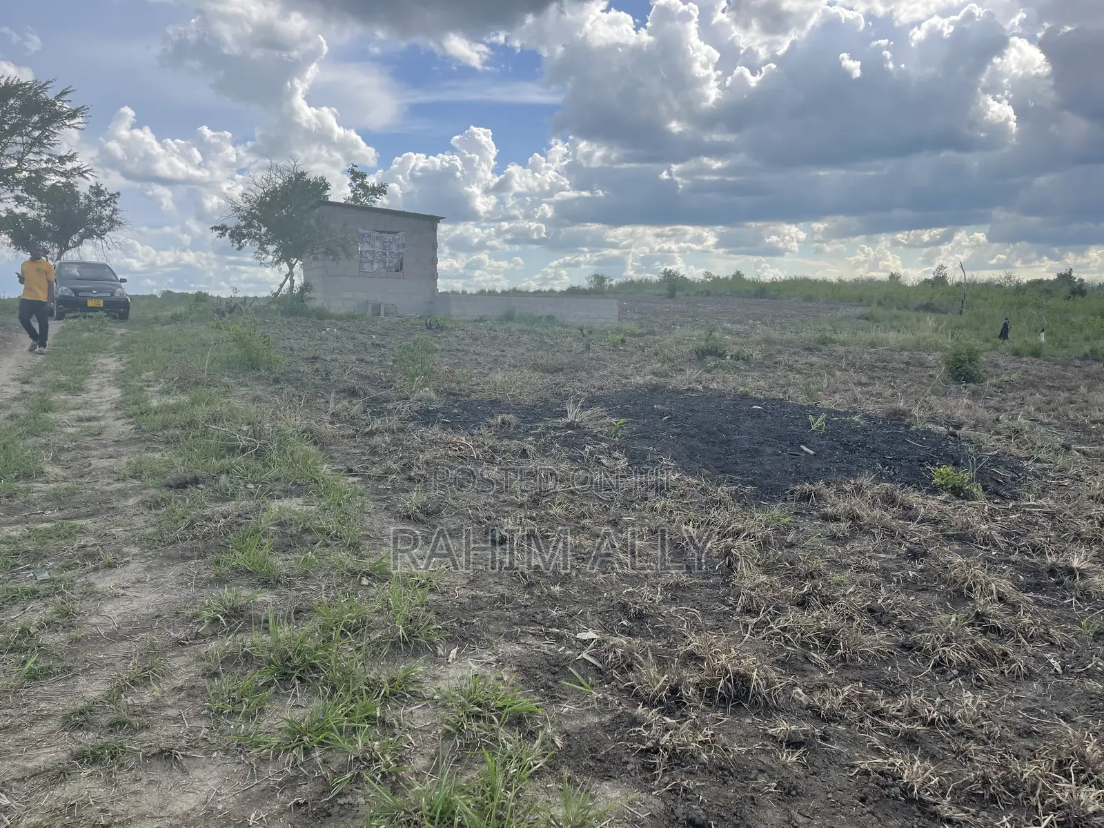 Shamba Linauzwa Kiwangwa Hekari 50