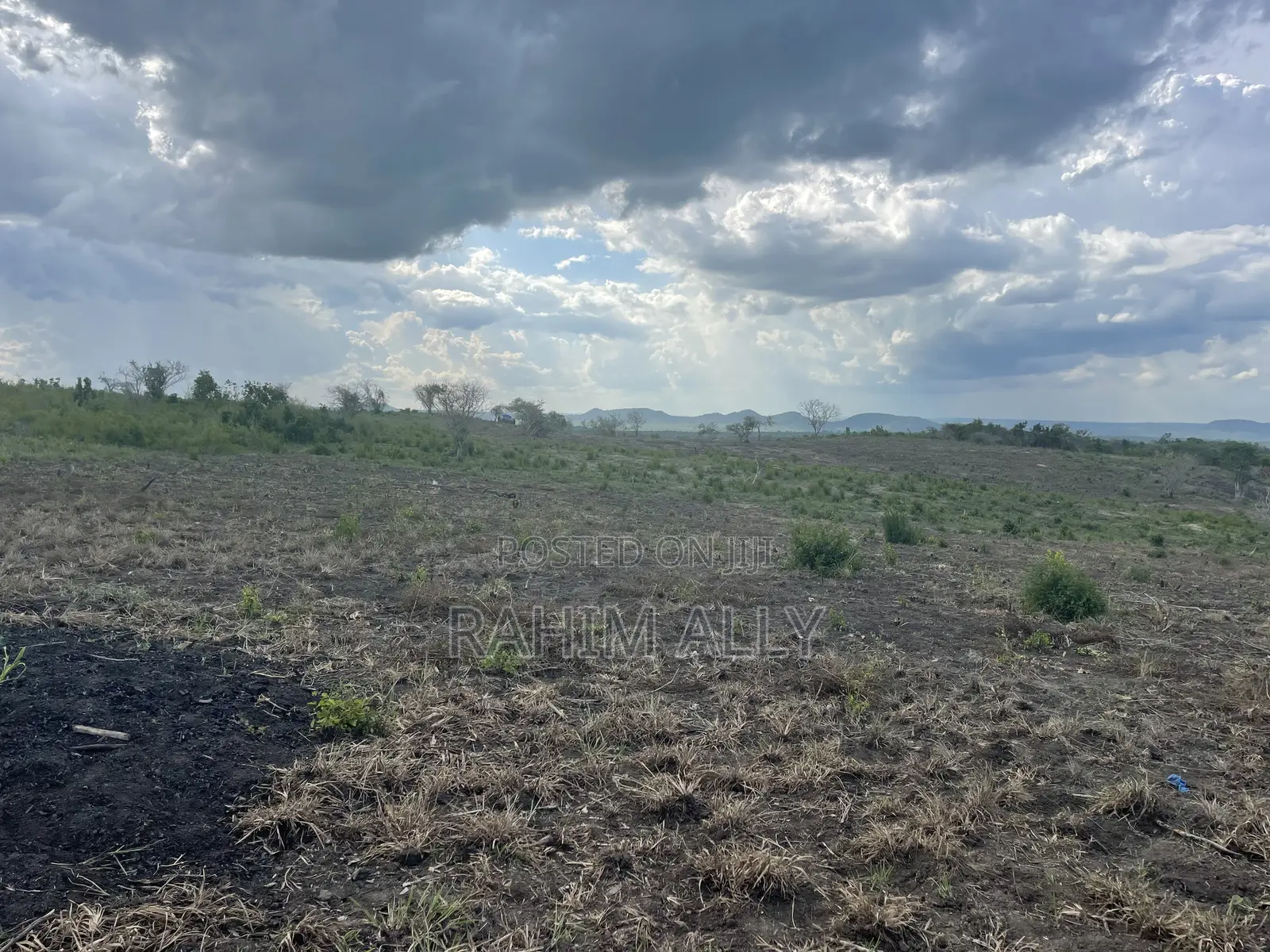 Shamba Linauzwa Kiwangwa Hekari 50