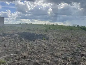Shamba Linauzwa Kiwangwa Hekari 50