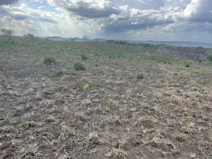 Shamba Linauzwa Kiwangwa Hekari 50
