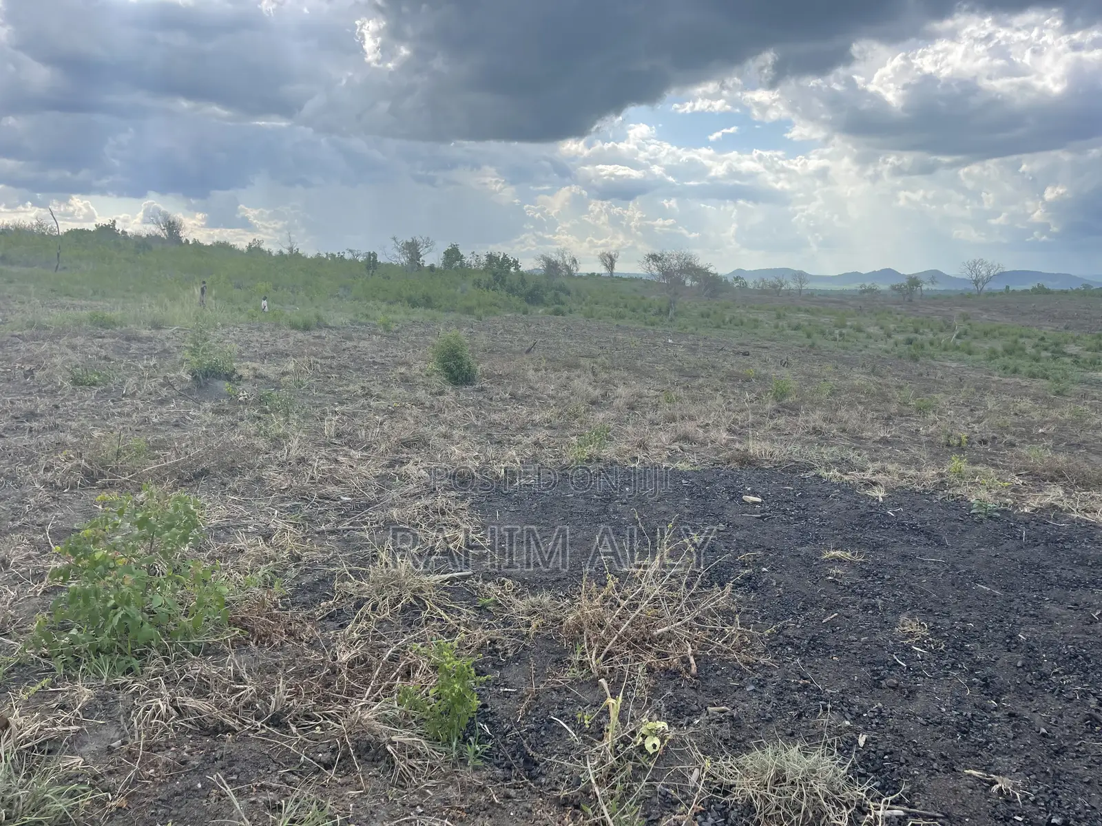 Shamba Linauzwa Kiwangwa Hekari 50