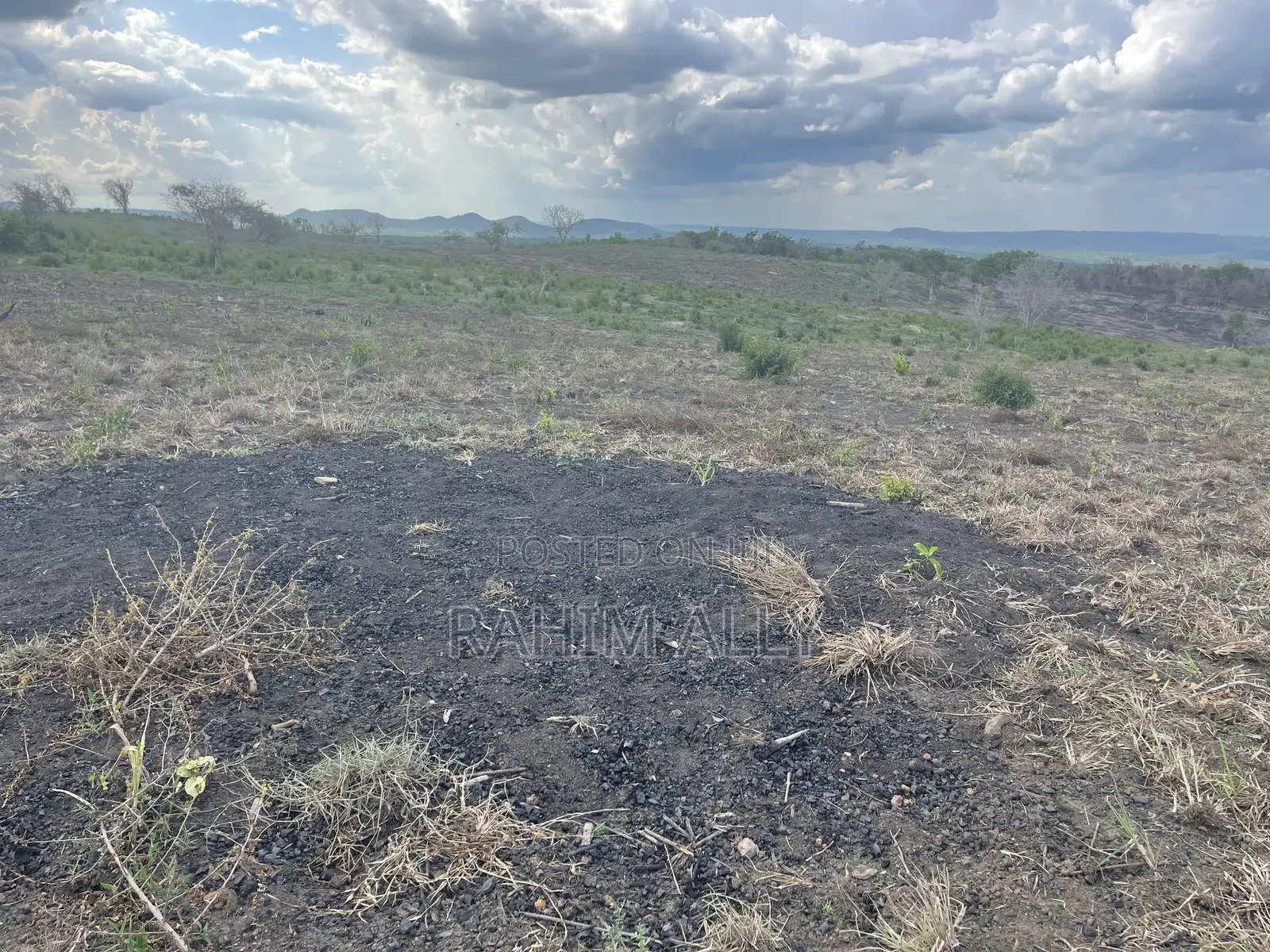 Shamba Linauzwa Kiwangwa Hekari 50