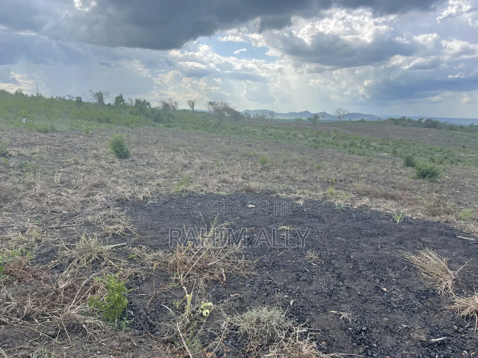 Shamba Linauzwa Kiwangwa Hekari 50