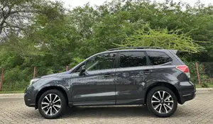 Subaru Forester 2017 Gray