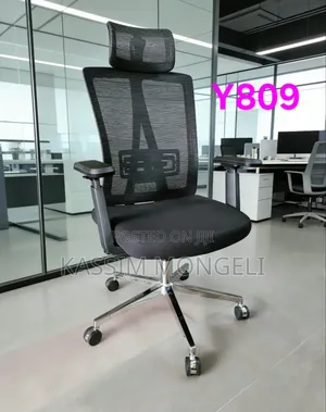 Ergonomic Chairs