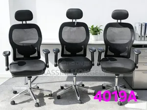 Ergonomic Chairs