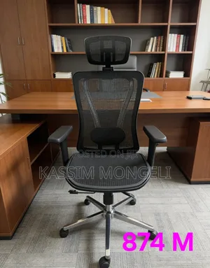 Ergonomic Chairs