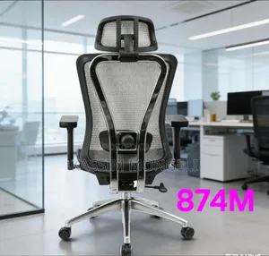 Ergonomic Chairs