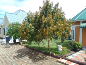 5bdrm House in Mabwepande, Kinondoni for sale