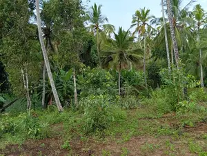 Donge Farmland on Sale Now