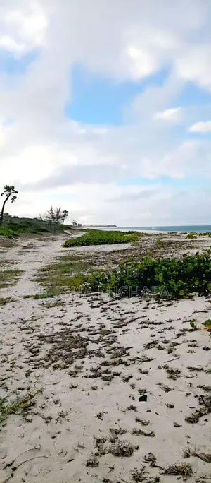 3 Nice Sand Beaches For Sale