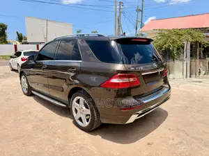Mercedes-Benz M Class 2014 Brown