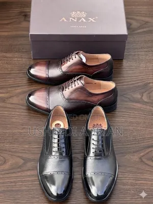 New Arrivals–Anax Brand