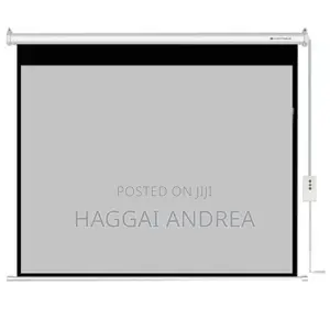 Ligtwave Electric Screen 300 X 300cm
