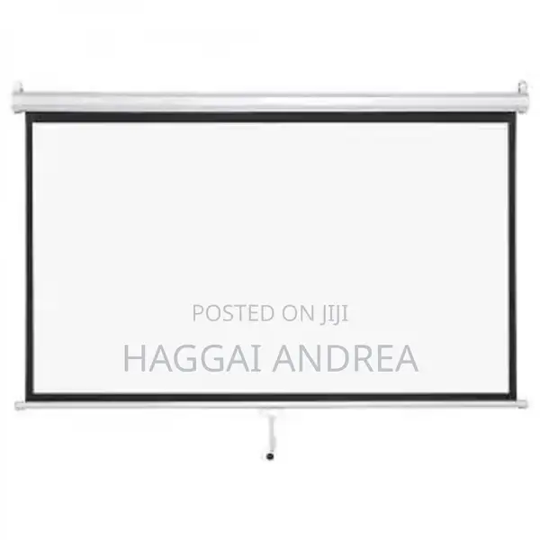 Ligtwave Electric Screen 300 X 300cm