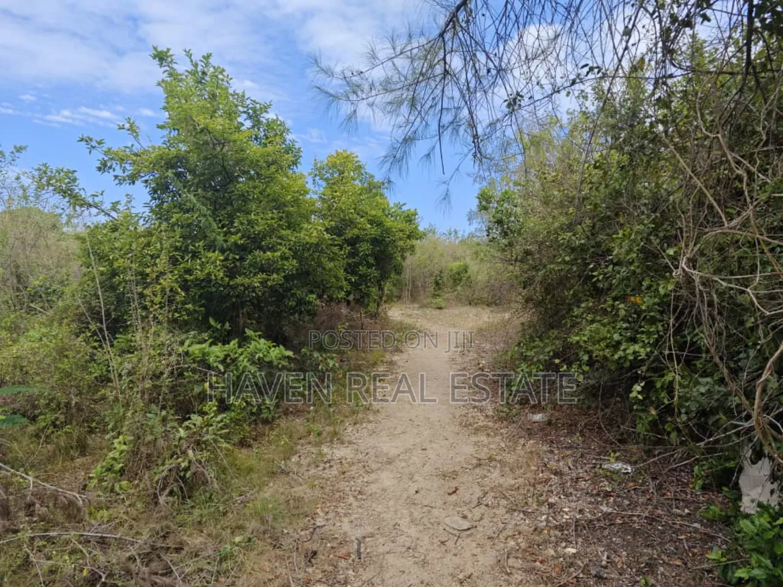 Beach Plot for Sale at Zanzibar