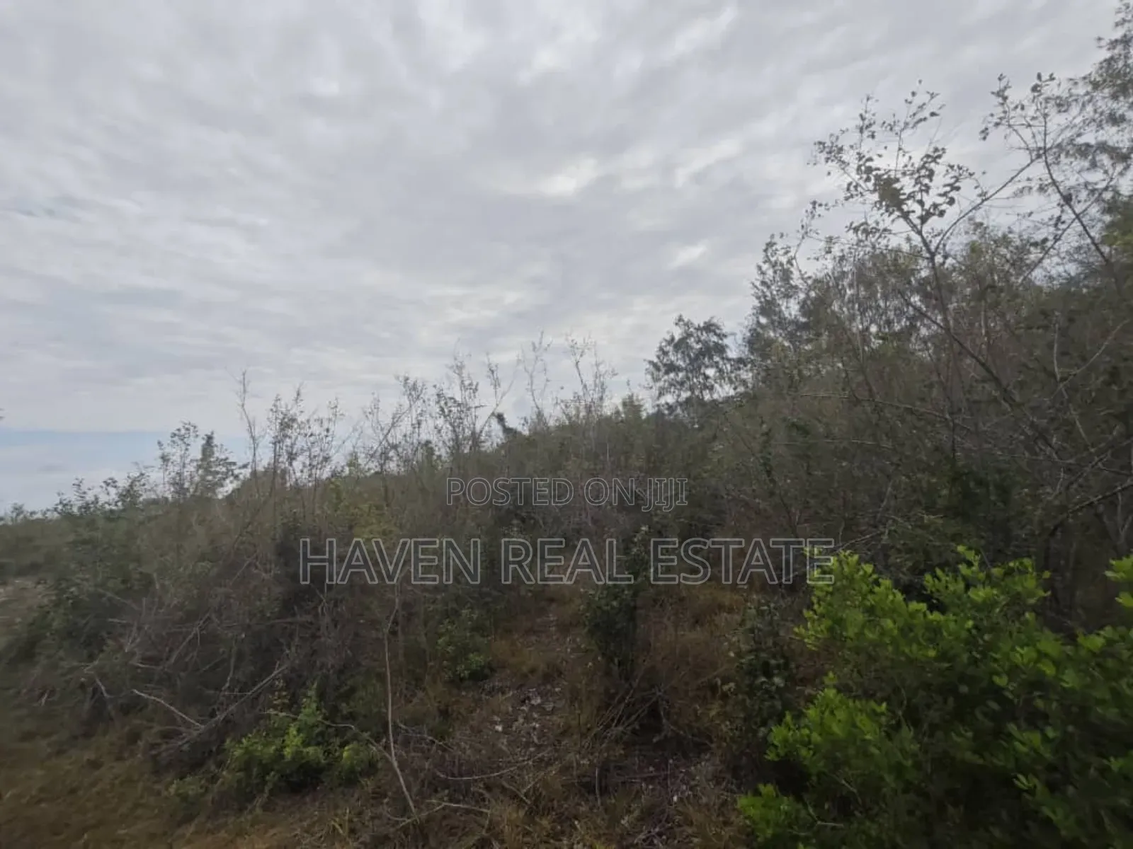 Beach Plot for Sale at Zanzibar