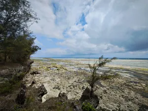 Beach Plot for Sale at Zanzibar