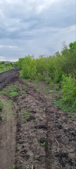 Shamba Linauzwa Kiwangwa