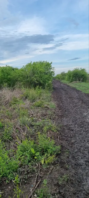 Shamba Linauzwa Kiwangwa