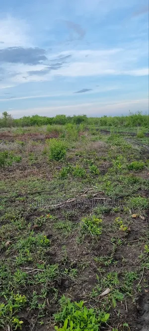 Shamba Linauzwa Kiwangwa